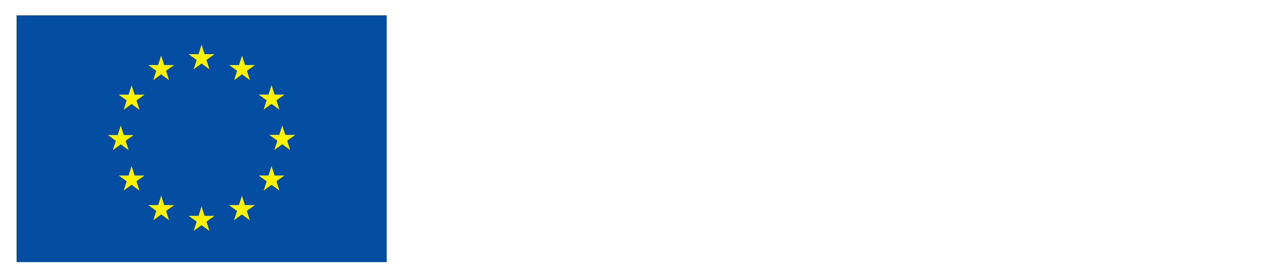 Flagge der Europäischen Union. Daneben der Schriftzug 'Kofinanziert von der Europäischen Union'.